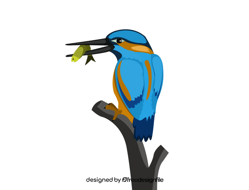 Kingfisher clipart