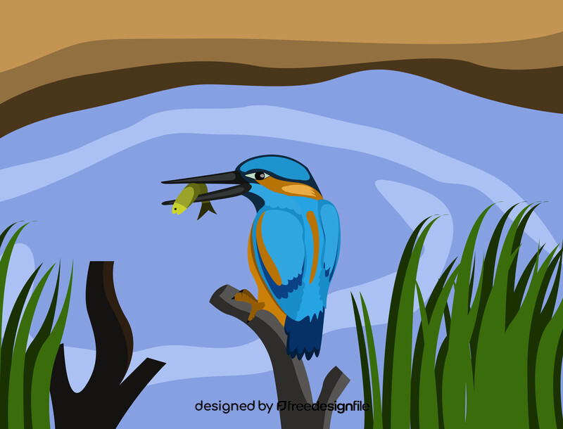 Kingfisher vector