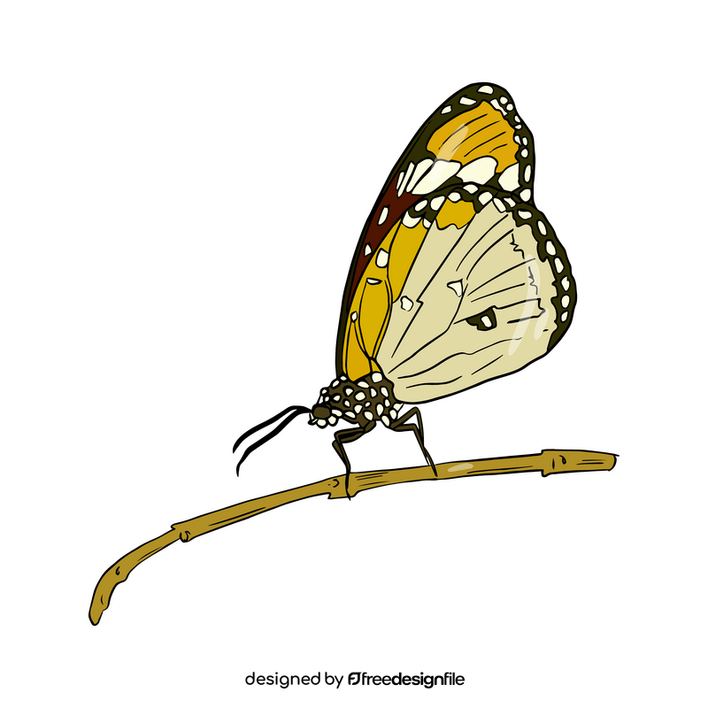 Free butterfly clipart