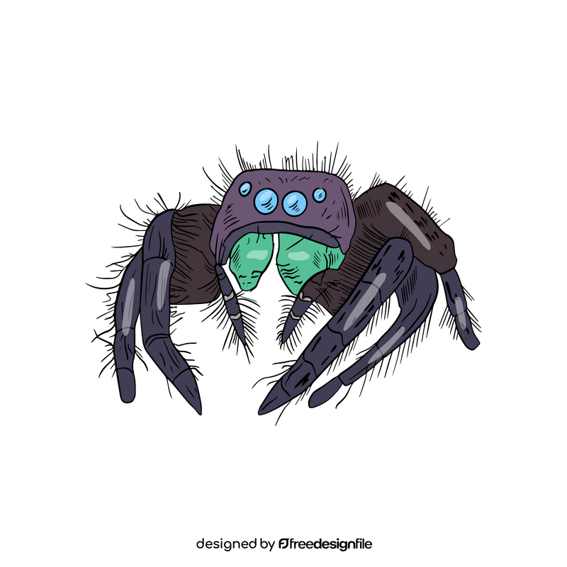 Spider cartoon clipart