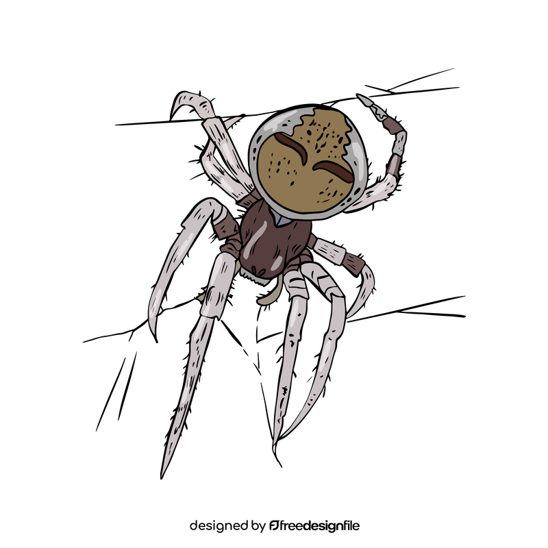 Spider cartoon clipart