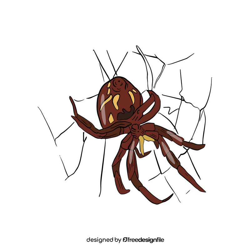 Free spider clipart