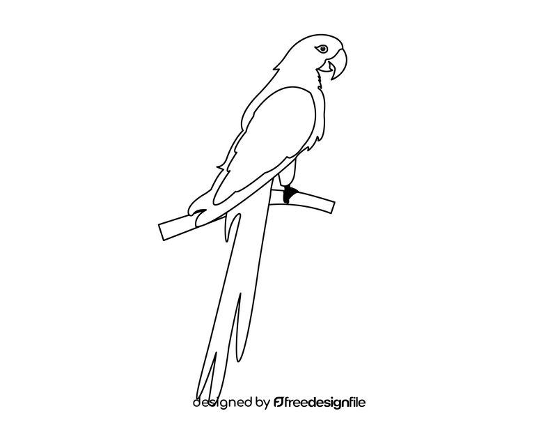 Parrot black and white clipart