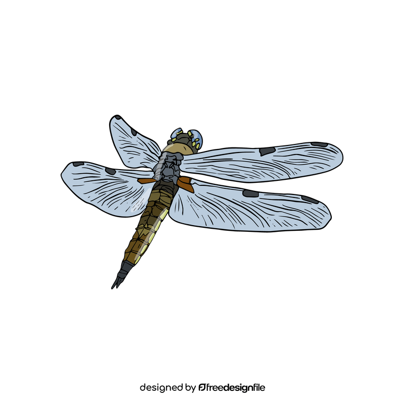 Dragonfly clipart