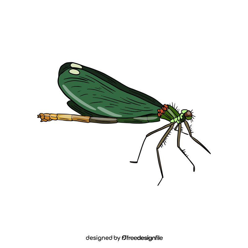 Dragonfly clipart