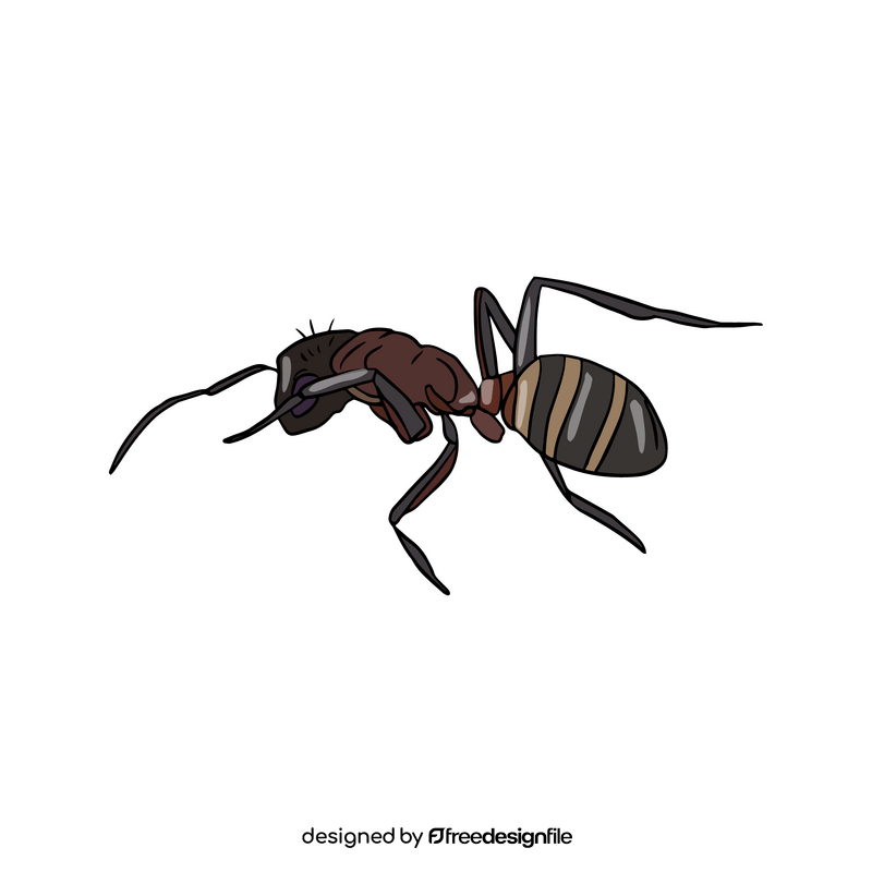 Ant clipart