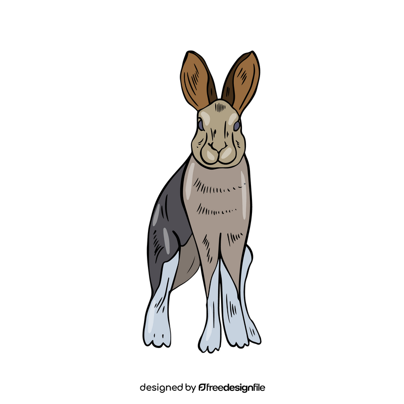 Hare cartoon clipart