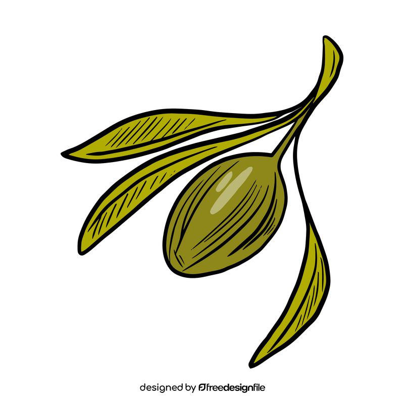 Olive branch clipart