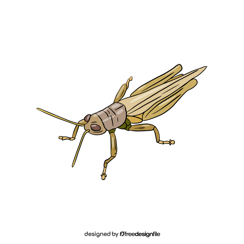 Locust clipart