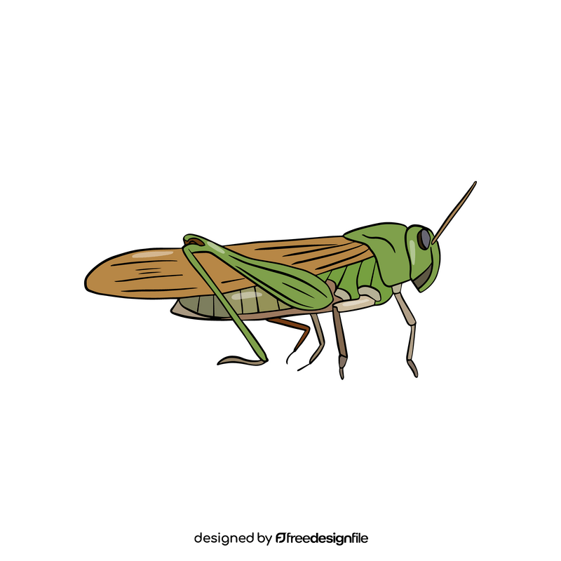 Green locust clipart