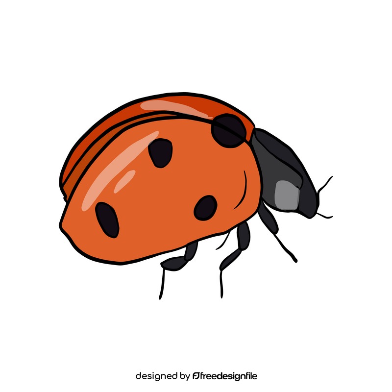 Ladybug clipart