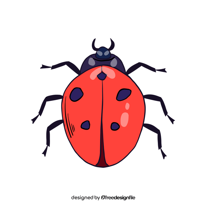 Ladybug clipart