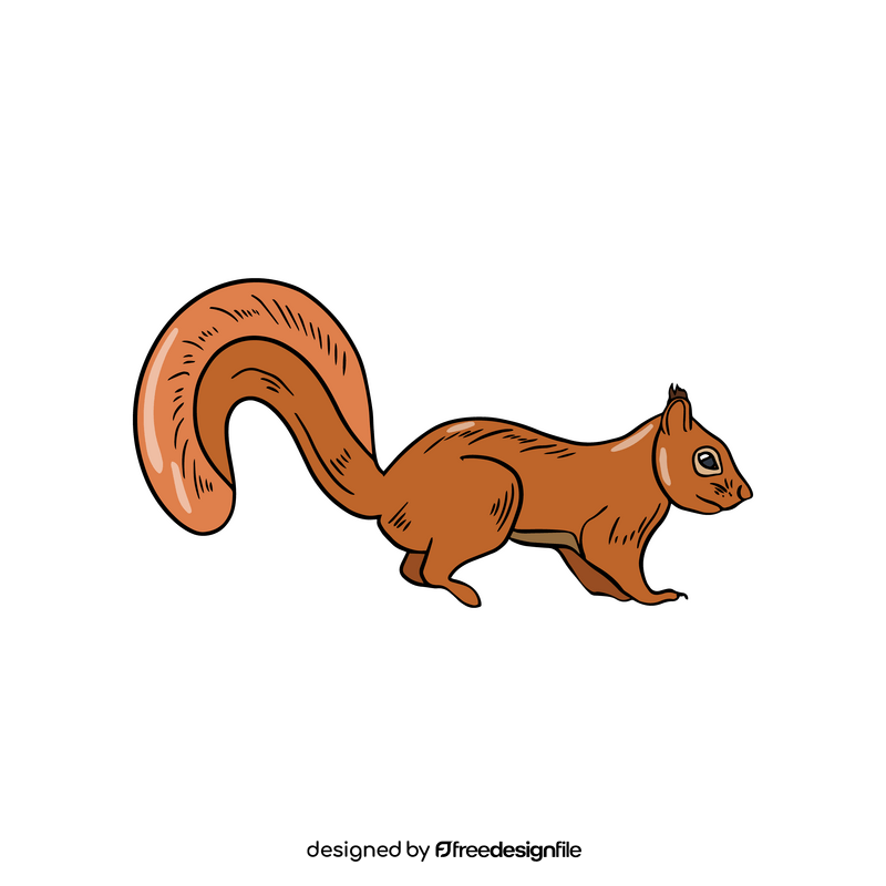 Squirrel cartoon clipart