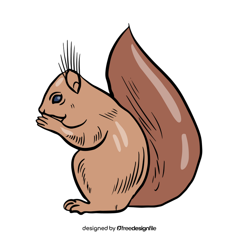 Squirrel clipart