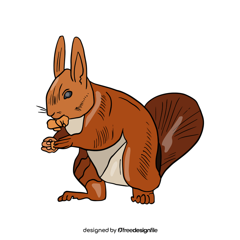 Cute squirrel cartoon clipart