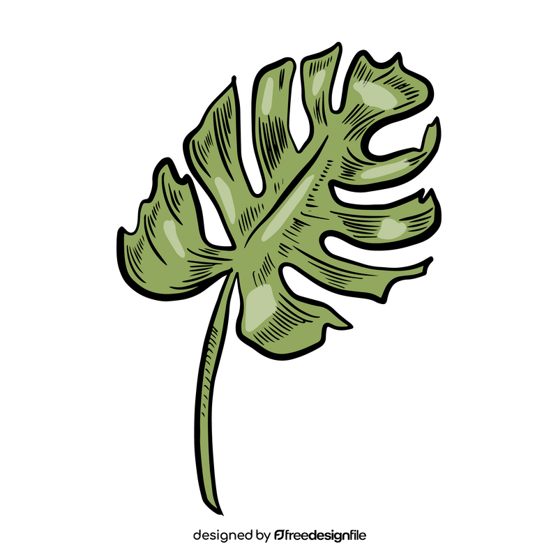 Leaf clipart