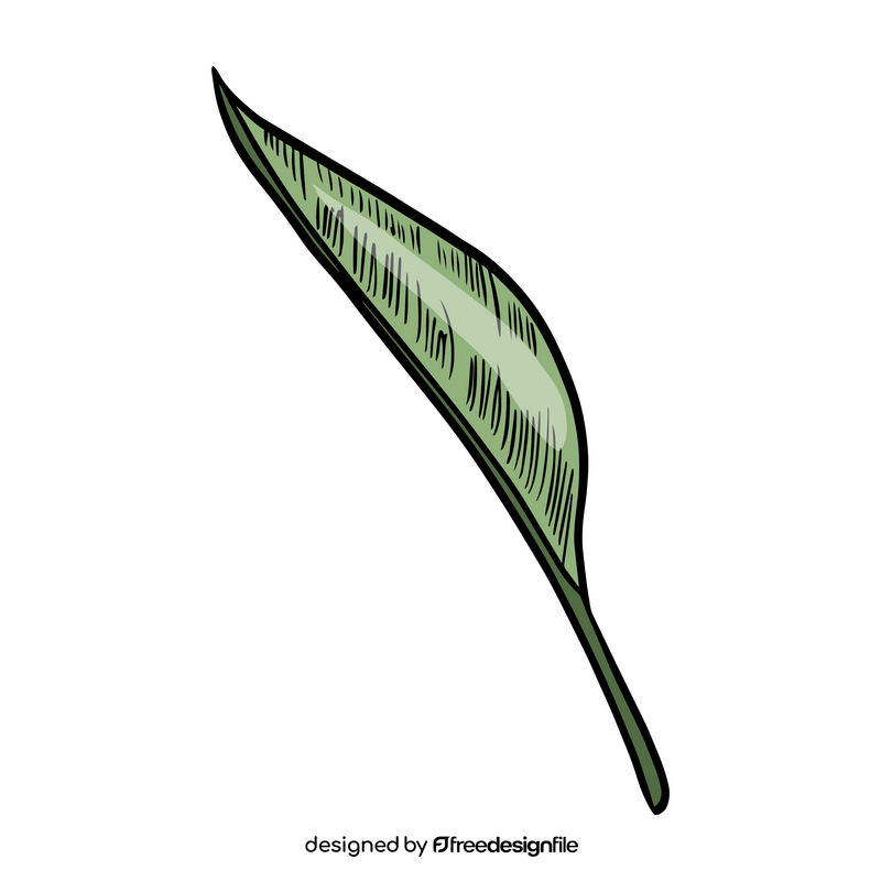 Tropical leaves clipart