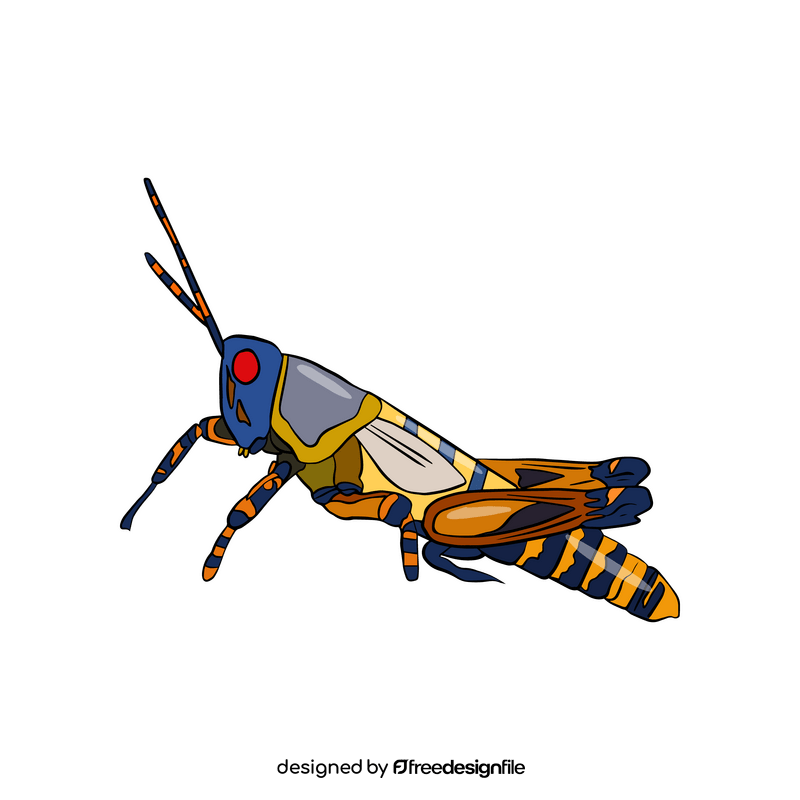 Grasshopper clipart