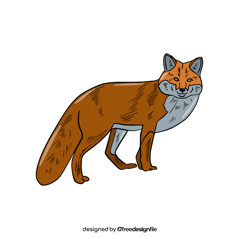 Fox illustration clipart