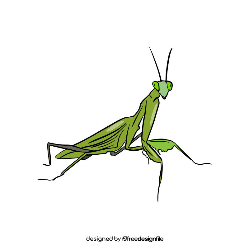 Green mantis clipart