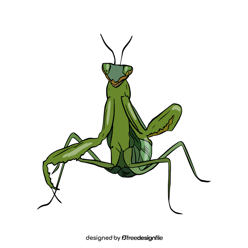 Free mantis clipart