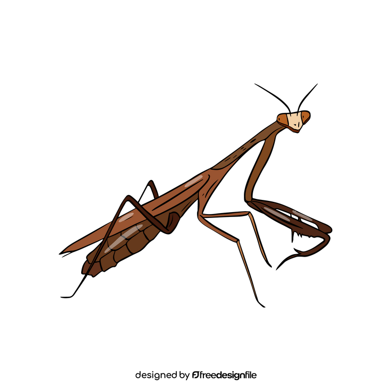 Mantis clipart