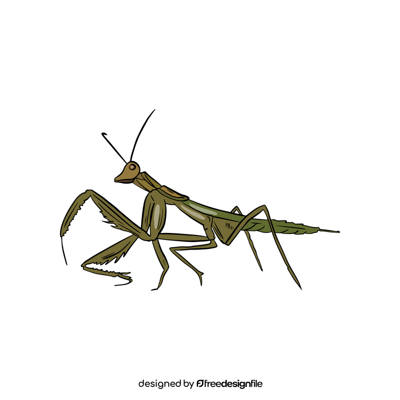 Free mantis drawing clipart