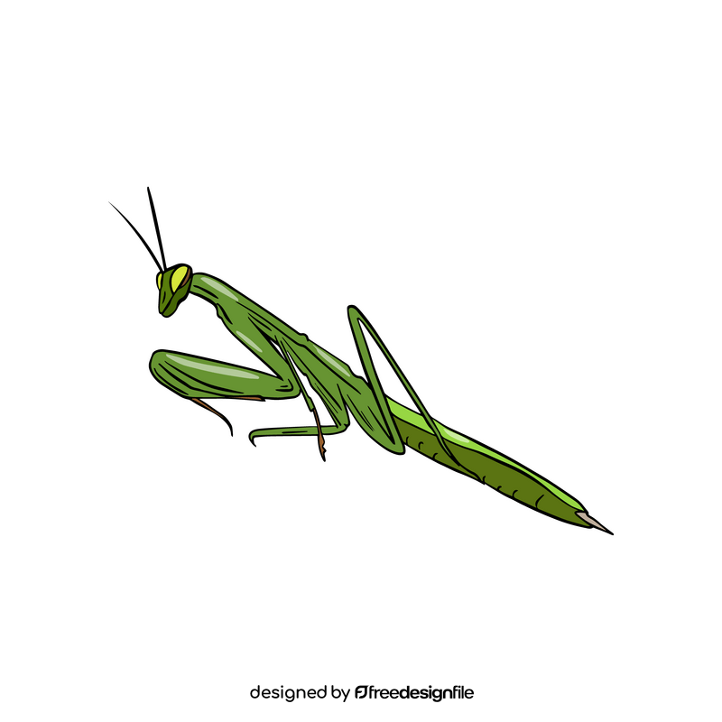 Mantis clipart