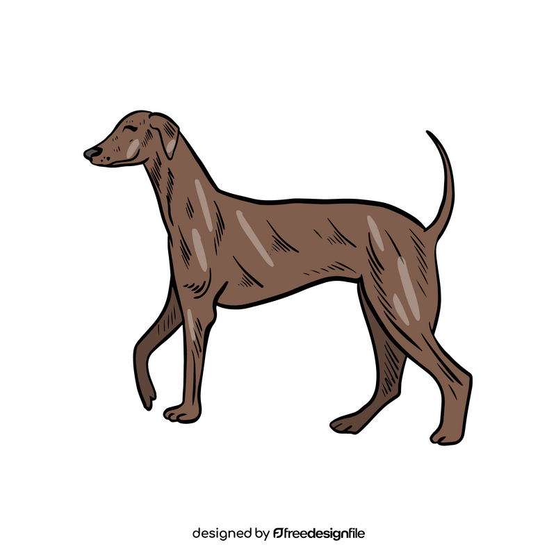 Cartoon beagle dog clipart