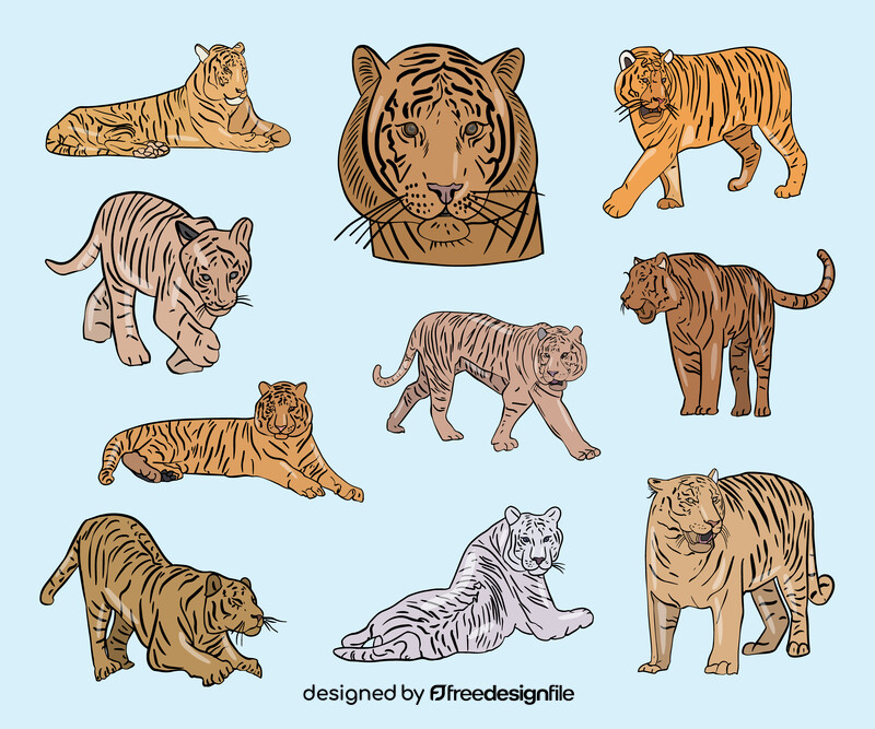 Cute tigers vector