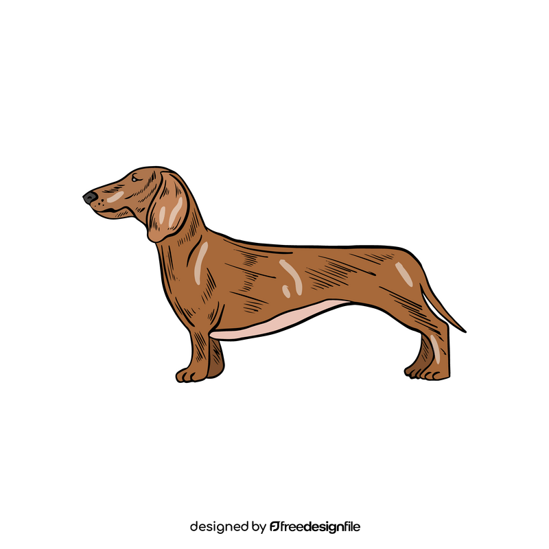 Dachshund dog illustration clipart