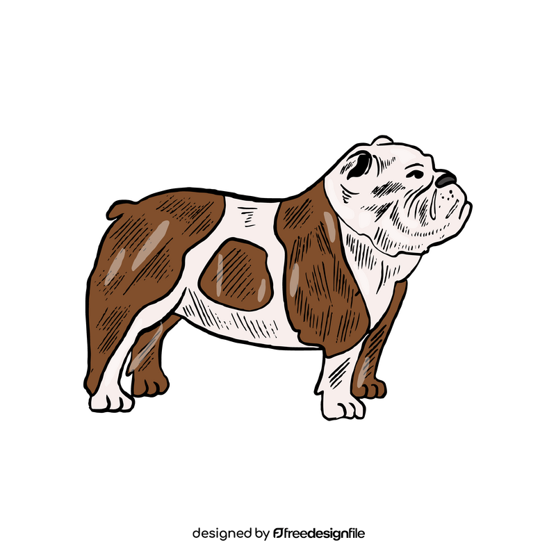 Bulldog drawing clipart