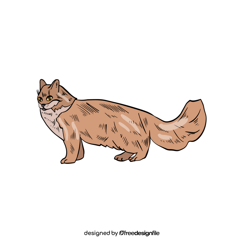 Cat cartoon clipart