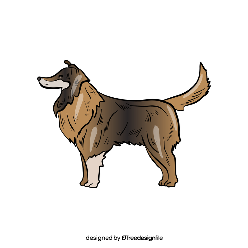 Collie dog clipart