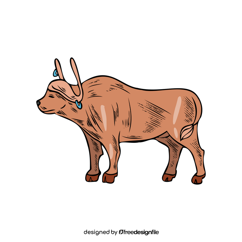 Bull illustration clipart