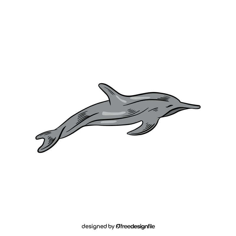 Free dolphin clipart