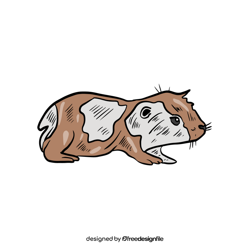 Cute hamster clipart