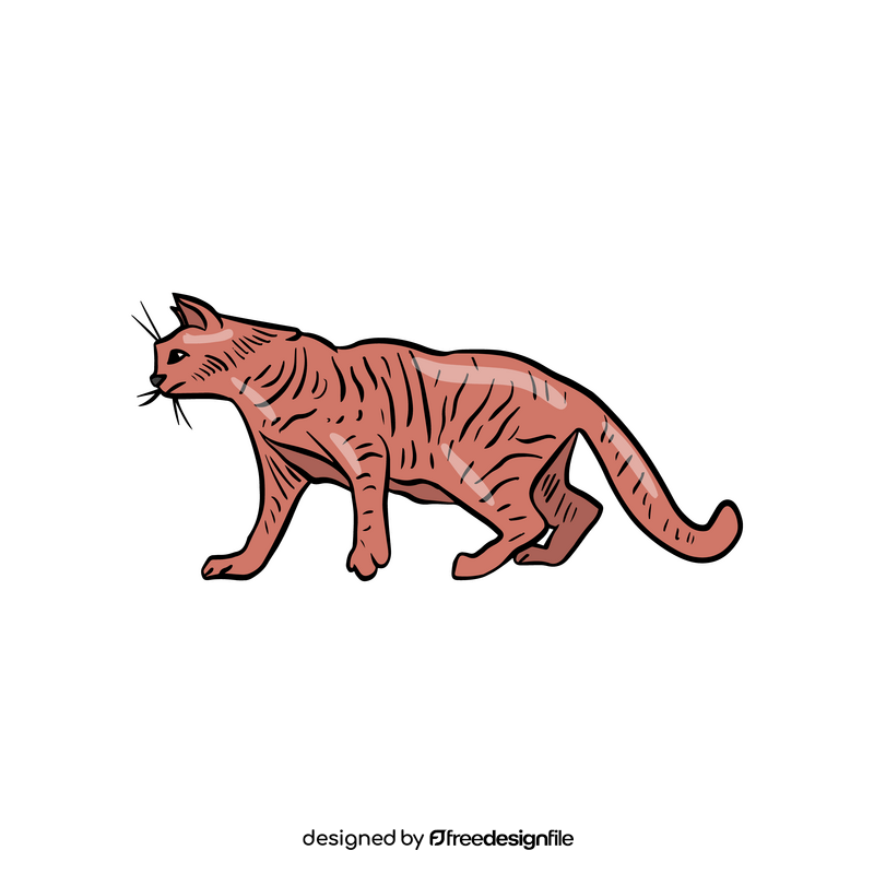 Cat cartoon animal clipart