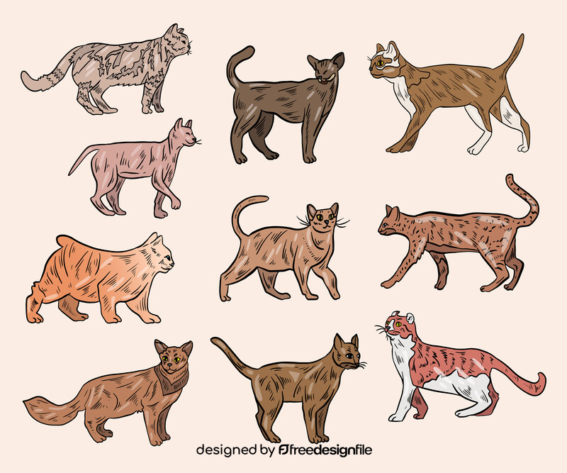 Cats animals vector