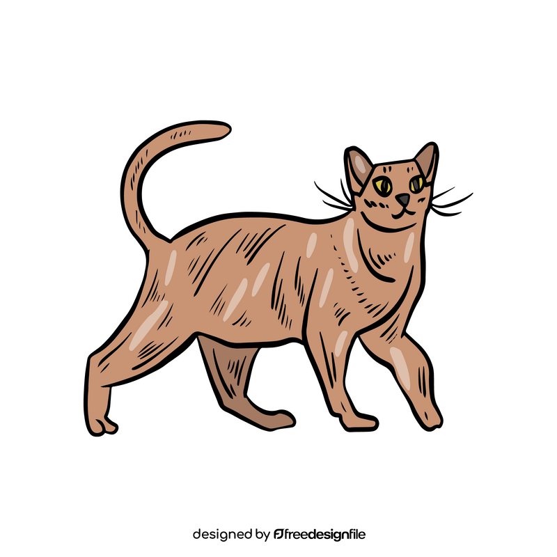 Cat illustration clipart