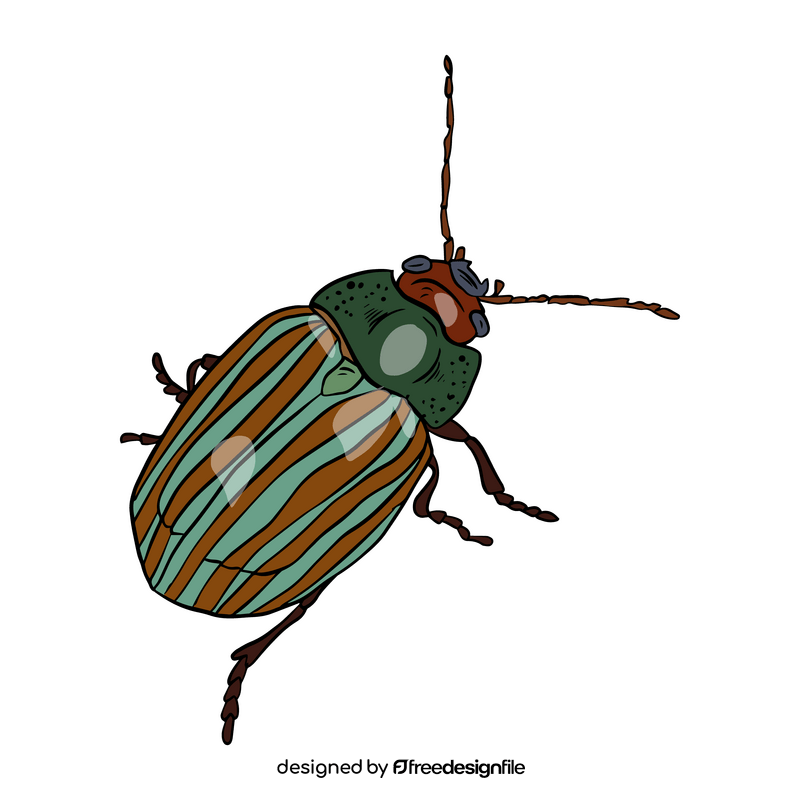 Beetle cartoon clipart