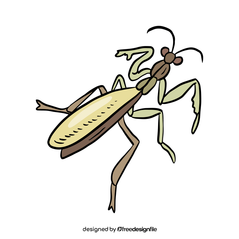 Mantis clipart