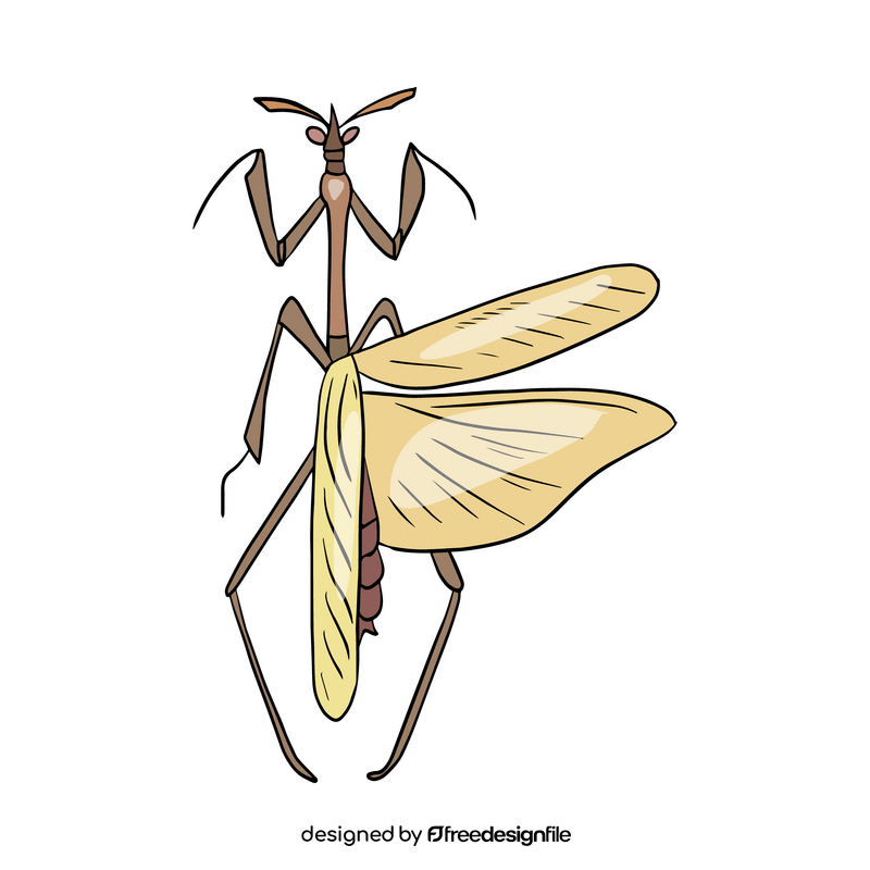 Mantis clipart