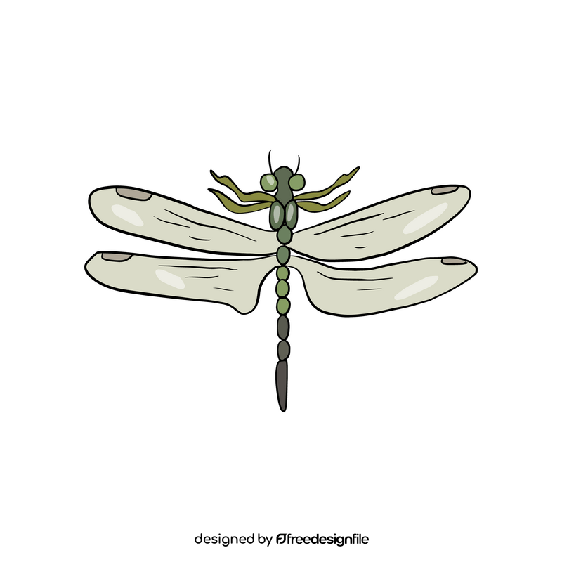 Free dragonfly clipart