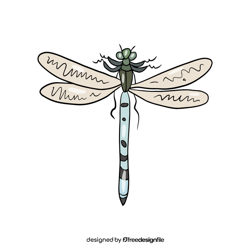 Dragonfly clipart