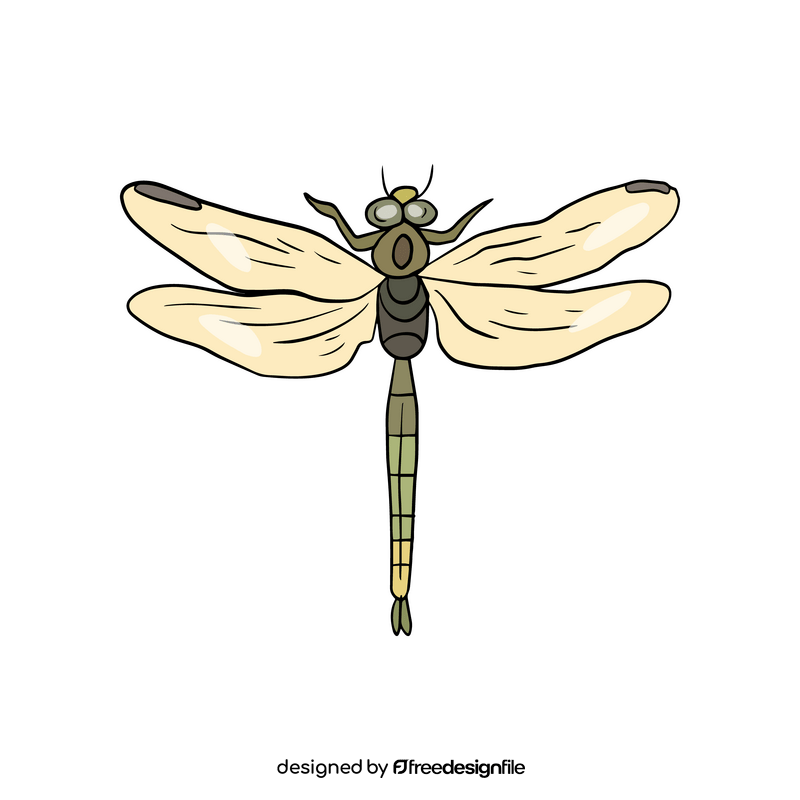 Dragonfly clipart