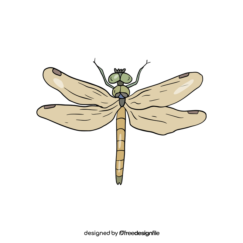 Dragonfly clipart