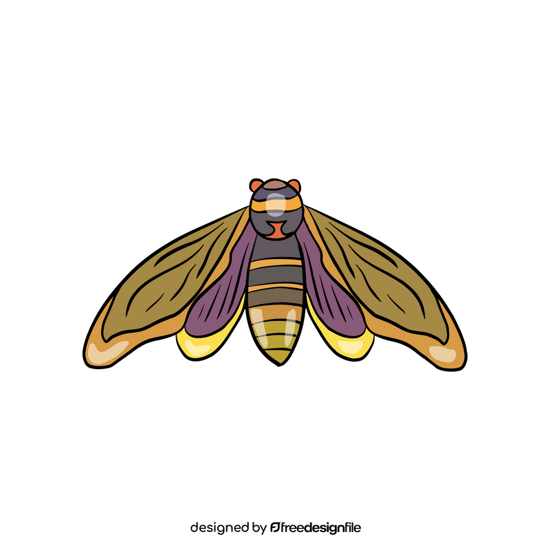 Moth clipart