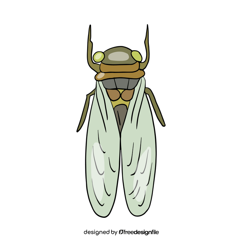 Free moth clipart