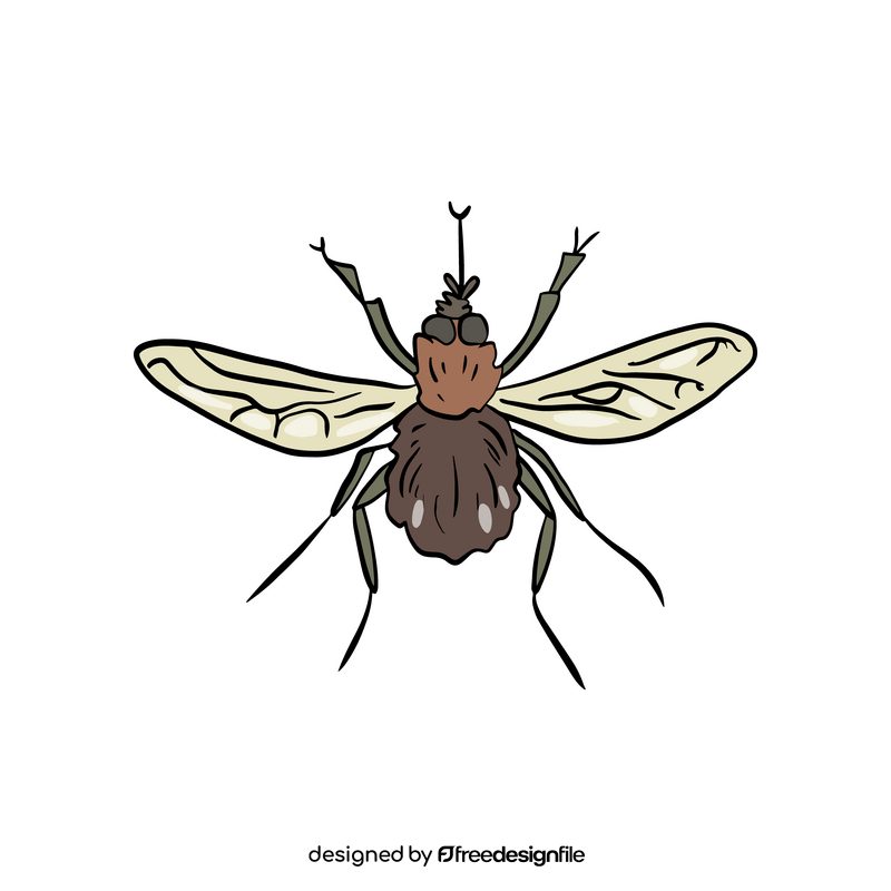 Mosquito clipart